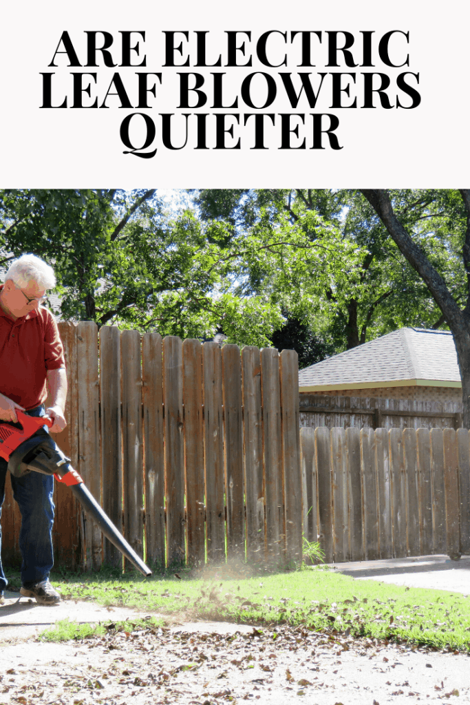Are Electric Leaf Blowers Quieter The All Electric Lawn