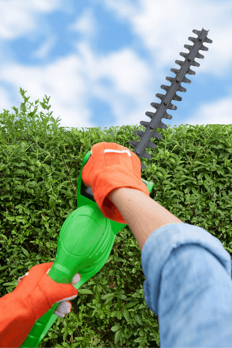 Corded vs Cordless Hedge Trimmer The All Electric Lawn