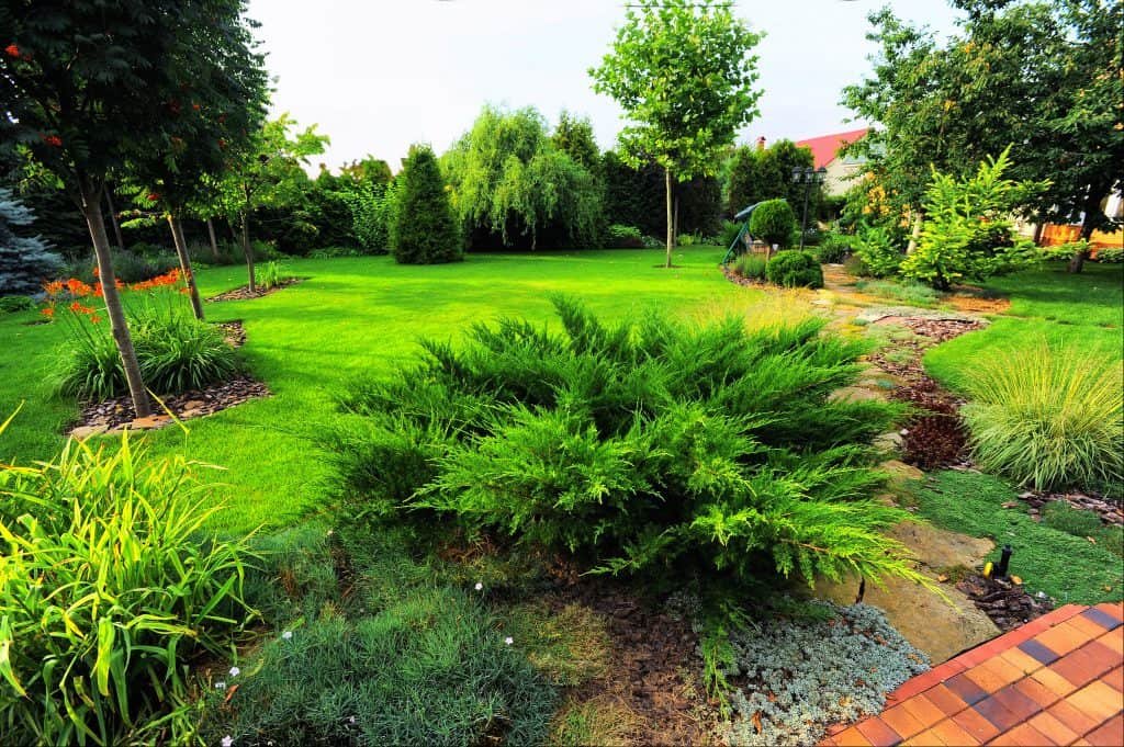 beautiful landscaped backyard green grass and walkway