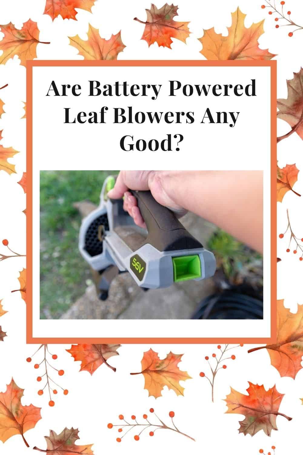 Are Battery Powered Leaf Blowers Any Good? Fully Explained The All