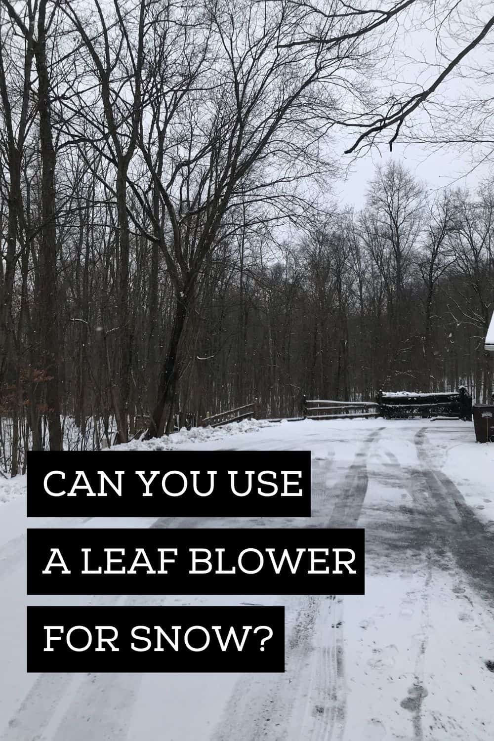 Can You Use a Leaf Blower for Snow The All Electric Lawn