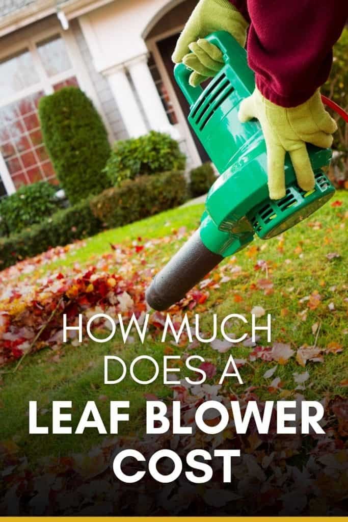 How Much Does a Leaf Blower Cost: Easily Explained and Detailed