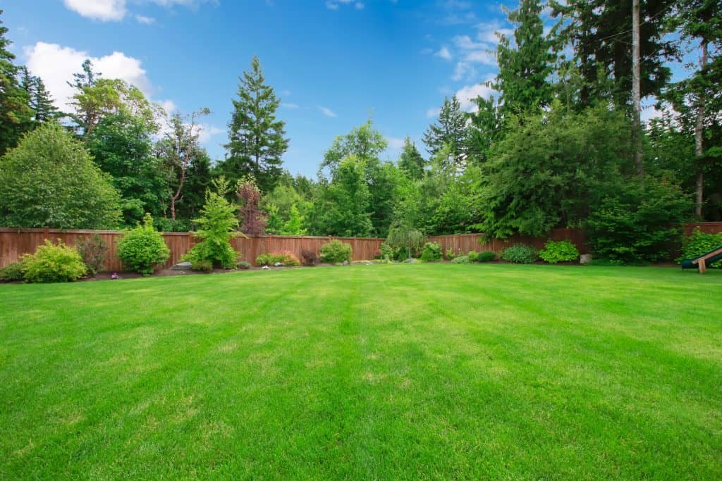 the all electric lawn home green grass yard