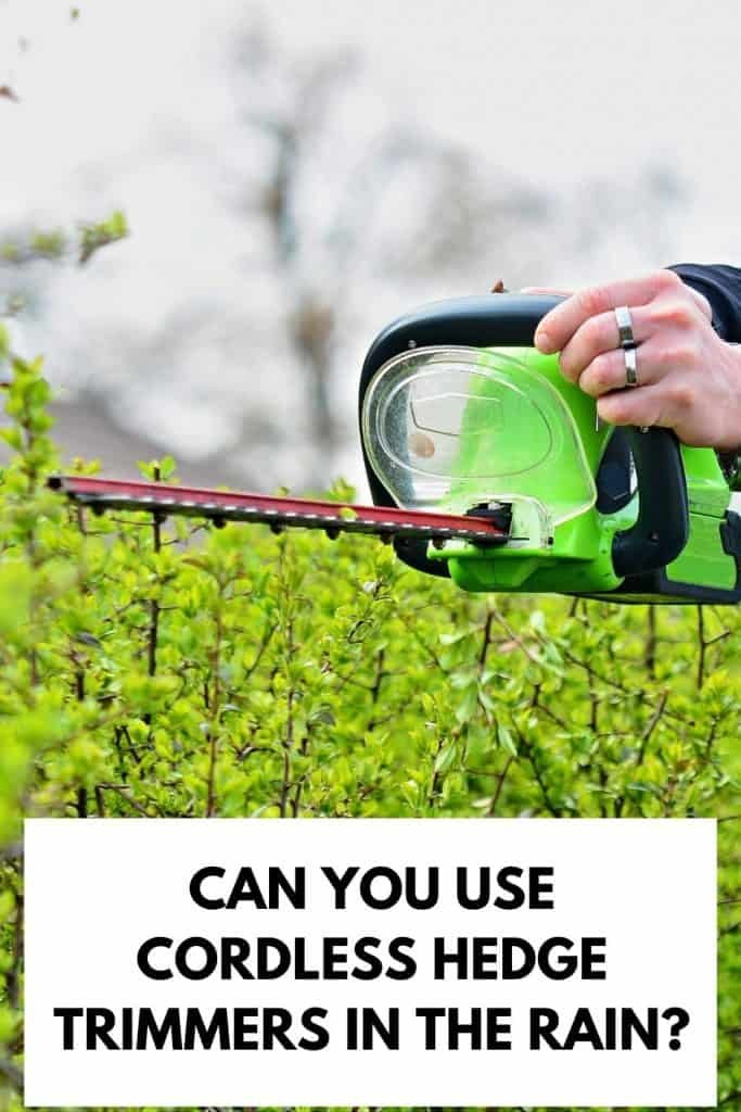 Can You Use Cordless Hedge Trimmers In the Rain