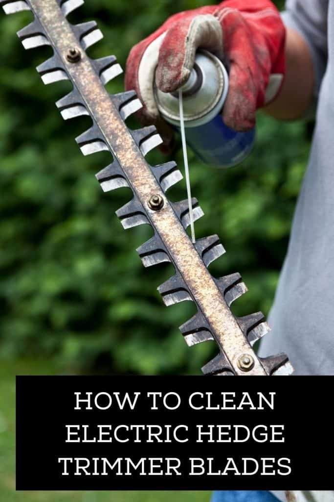 how to clean electric hedge trimmer blades