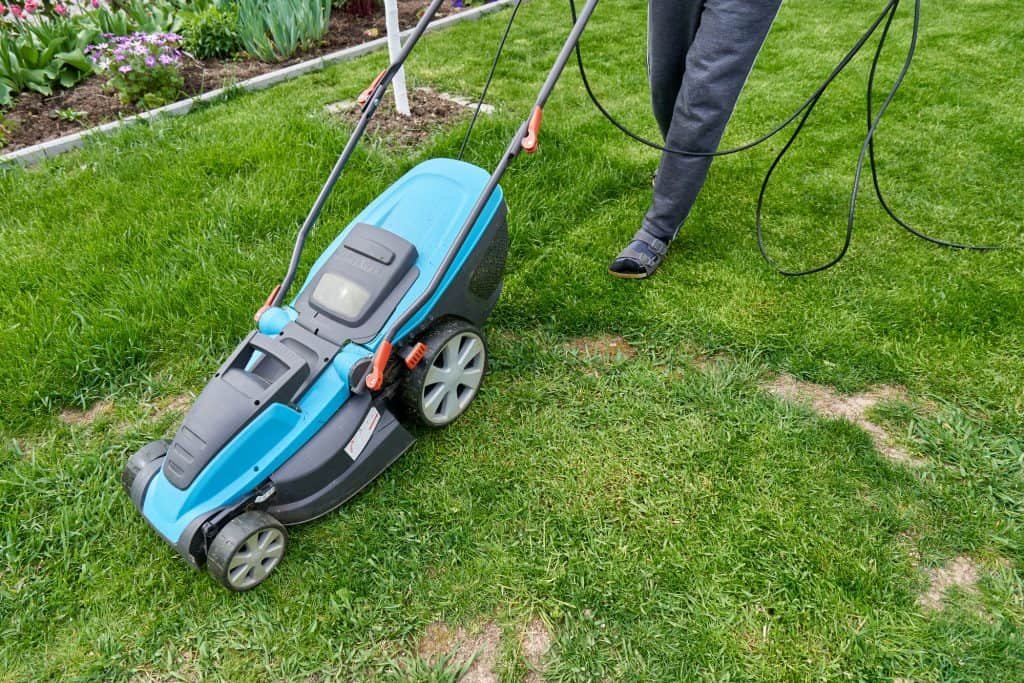 blue corded electric lawn mower cutting grass