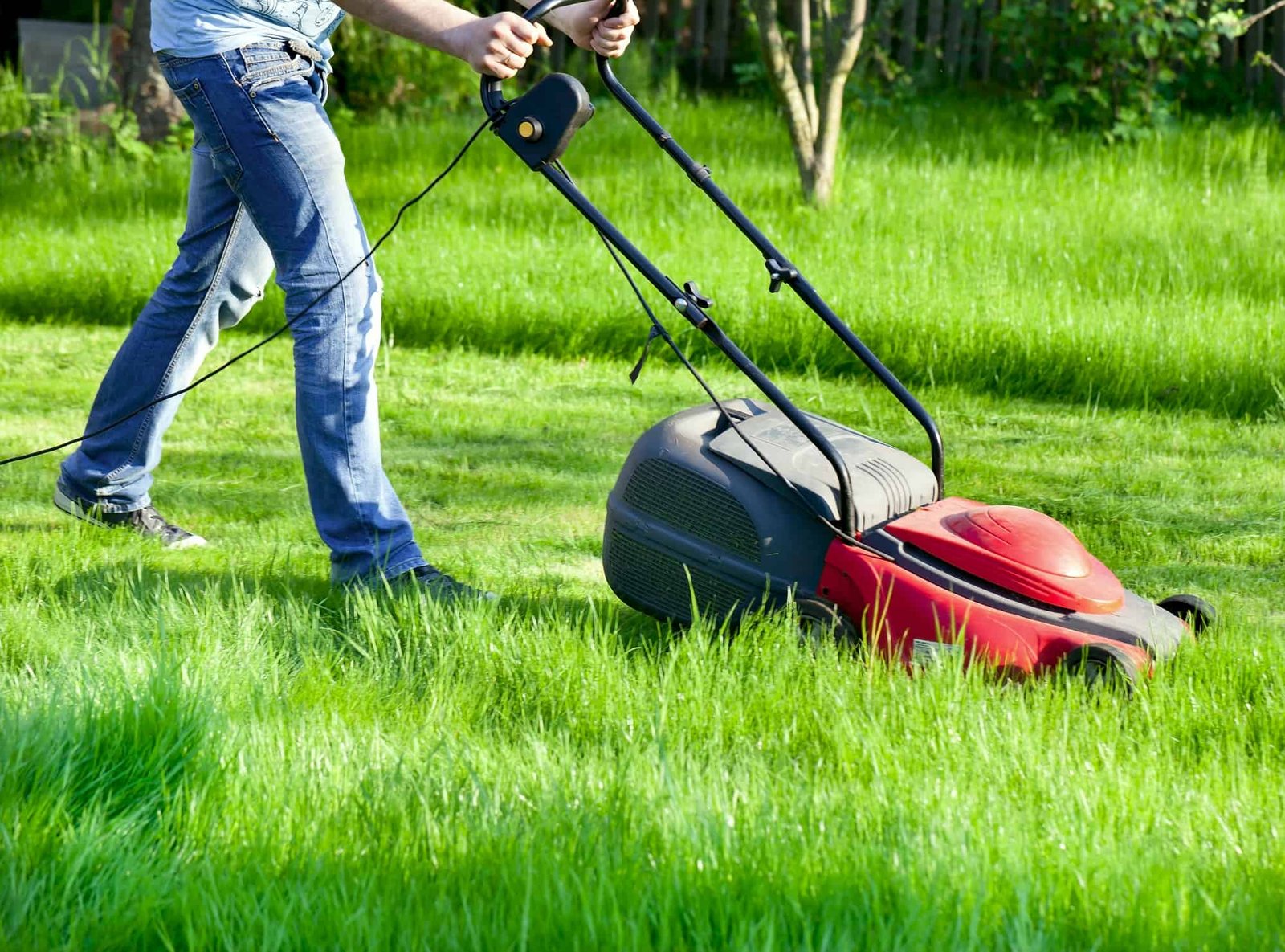 How Does a Corded Mower Get Enough Power? How Does a Corded Mower Get Enough Power?