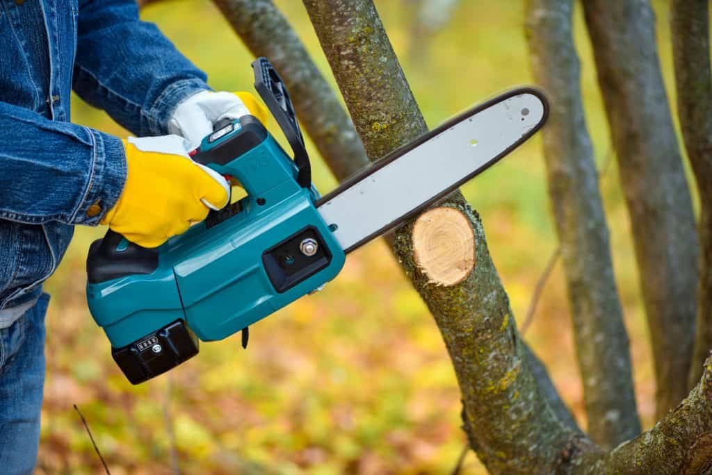 cutting tree limibs with a cordless battery powered chainsaw