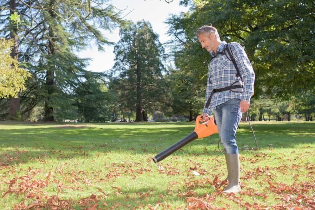 cordless battery powered backpack blower