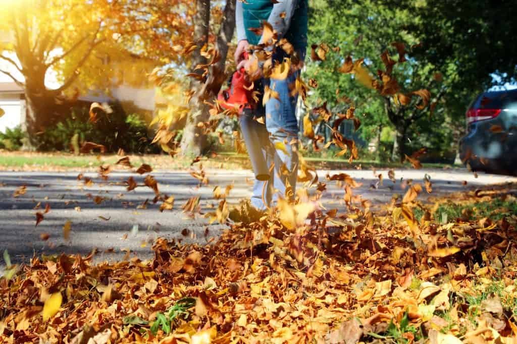 electric corded leaf blower blowing leaves toro