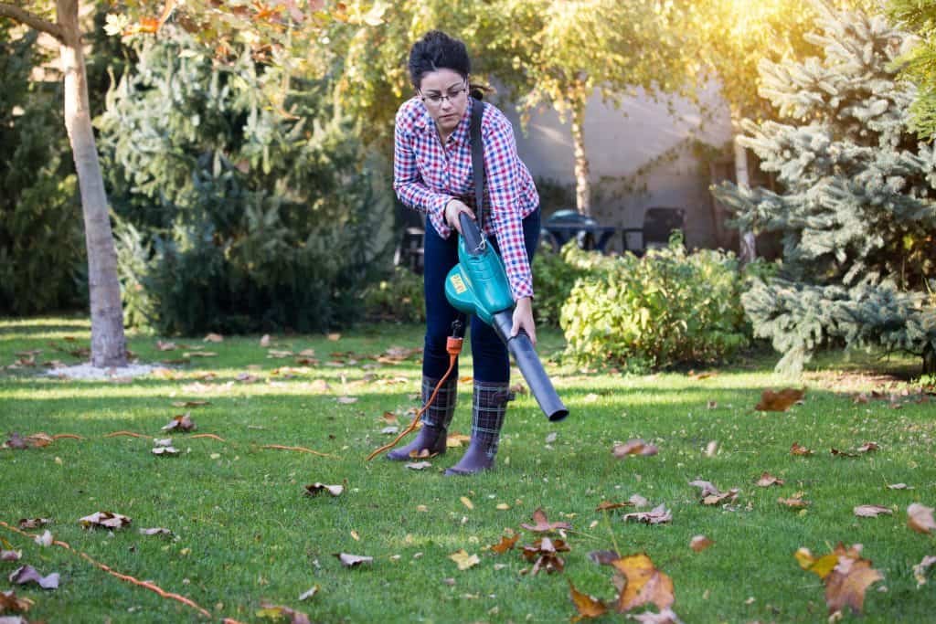 woman using leaf blower in yard blowing leaves