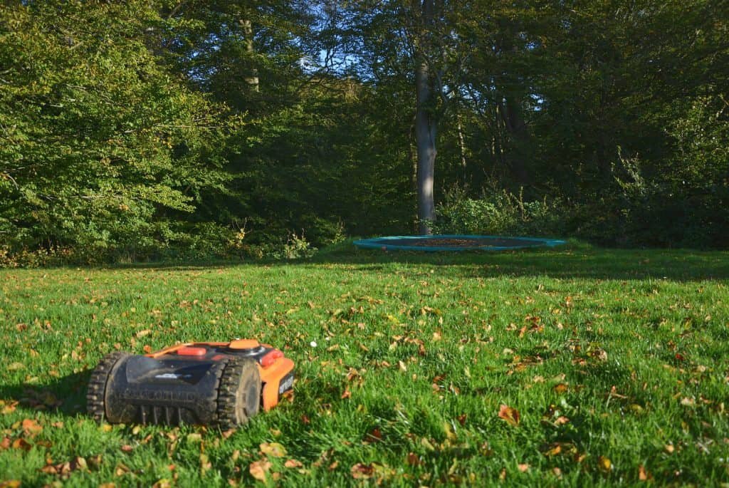 robot lawn mower cutting grass in fall